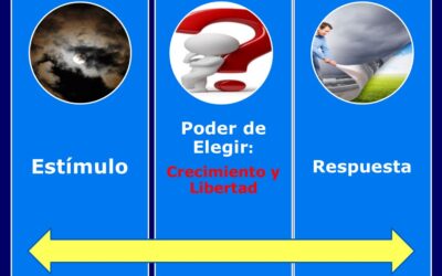 La libertad de asumir la responsabilidad: El inicio de nuestros mejores años