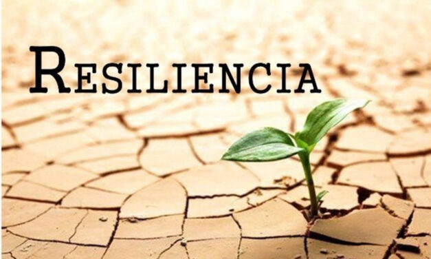 Cómo desarrollar resiliencia