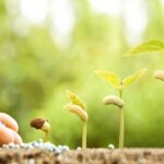¿Qué es crecimiento personal?