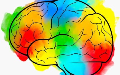 Poder personal: una competencia intrapersonal para transformar la realidad