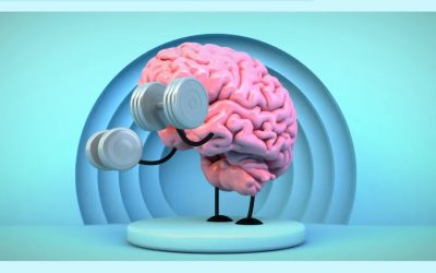 ¿Cómo aprende nuestro cerebro?