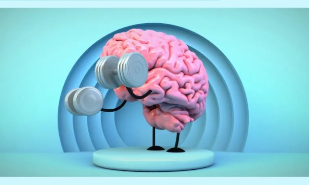 ¿Cómo aprende nuestro cerebro?